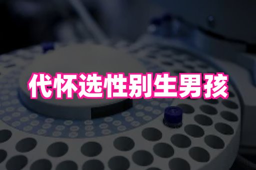 幸孕 1